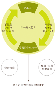 P.L.TPersonalized Learning Test˥ץ